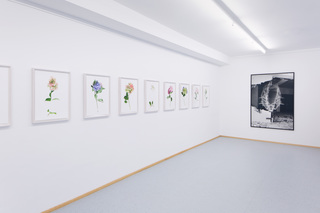 left: RANDOM FLOWERS, 2016 (right: Taiyo Onorato & Nico Krebs)