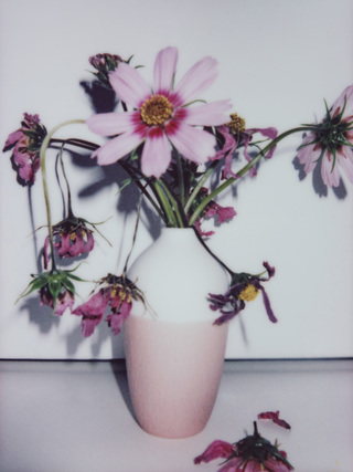 Broken Flowers, No.12, 135x100cm, 2018