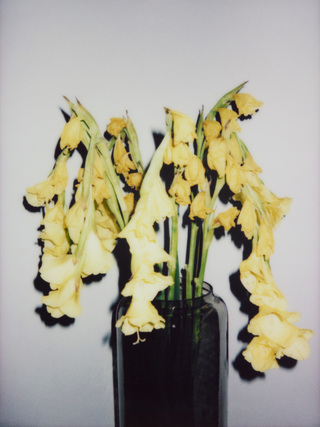 Broken Flowers, No.26, 135x100cm, 2019
